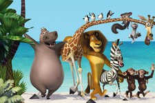 Кадр из мультсериала "Мадагаскар"