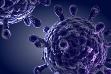 Вирус иммуннодефицита человека