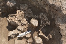 Древние погребения обнаружили в Ипатовском районе Ставрополья. Фото: http://www.stavropolye.tv/society/view/88617