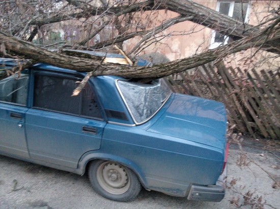 Последствия сильного ветра в Ставрополе. Фото: https://vk.com/26stav?z=photo-37725105_395670504%2Fwall-37725105_577509
