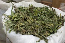 Почти килограмм марихуаны обнаружили полицейские в доме жителя Изобильненского района