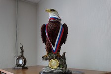 Не только полицейский, но и спортсмен — медаль, заслуженная в соревнованиях по дзюдо. (Фото Дарьи Ряшенцевой) 