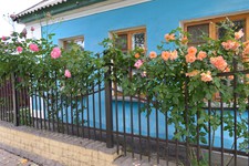 Цветник у дома № 159 – гордость ул. Некрасова.