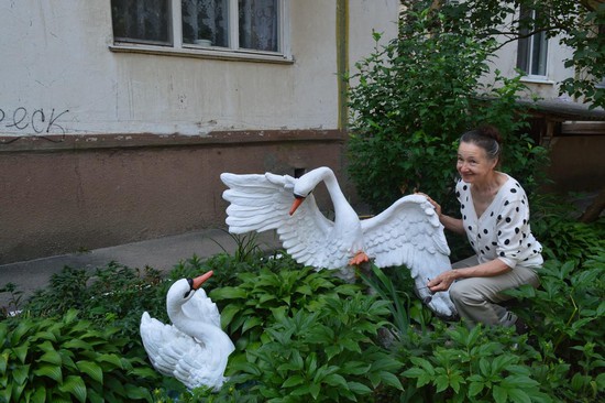Ирина Сафронова и ее лебединая семья.