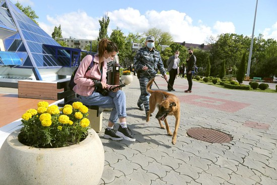 Перед митингом памяти площадь у ДКиС проверяют кинологи с собаками.
