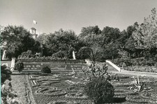 Озеленение Комсомольской горки. 1958 год (фото из фондов Государственного архива Ставропольского края).
