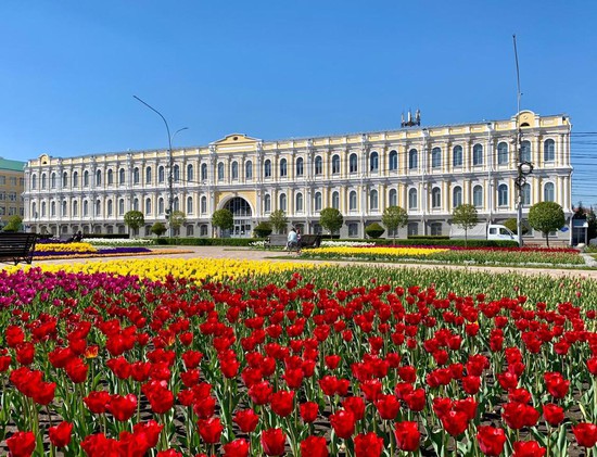 Сегодня Ставрополь невозможно представить без тюльпанов.