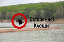 Изображение с официального сайта администрации города Ставрополя.