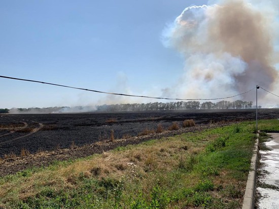 После аварии на Ставрополье загорелось поле пшеницы. Фото ГУ МЧС РФ по СК.