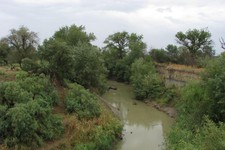 Река Кума. Фото: министерство природных ресурсов СК.