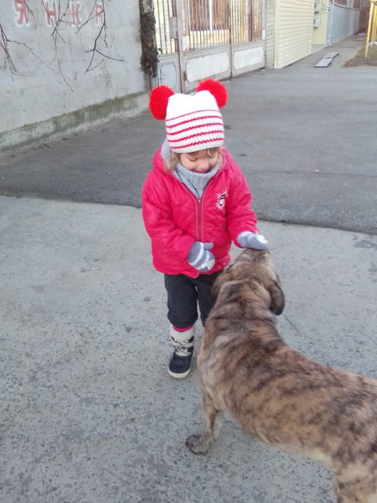 Ребенок с собакой.