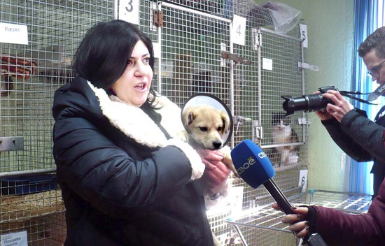 Директор благотворительного фонда помощи животным «Ковчег» Ирина Газарян.