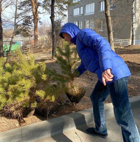 Высадка деревьев 1 марта. Пресс-служба администрации города-курорта Кисловодска
