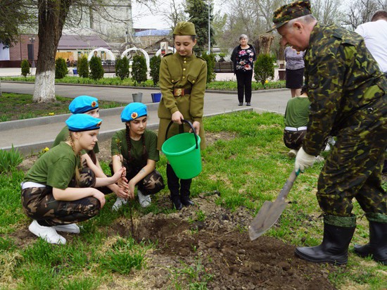 Дети заботятся о саде. Администрация Грачевского округа Ставропольского края