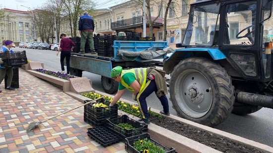Высаживают цветы. Пресс-служба администрации города Ставрополя