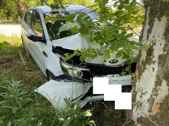 62-летняя женщина-водитель врезалась в дерево на Ставрополье