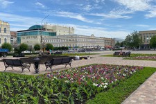 В Ставрополе летом высадят 460 тысяч цветов