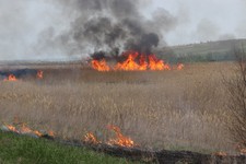 Пожар в поселке Большевик. Пресс-служба ПАСС СК