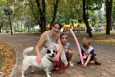 "Вдруг тут друг" - фестиваль бездомных животных прошел в Кисловодске