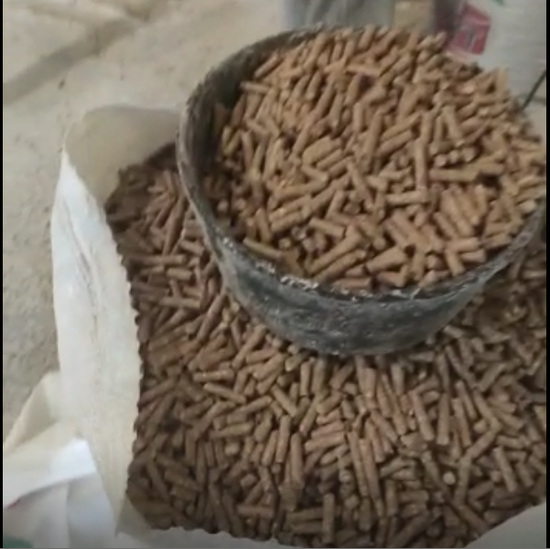 Гранулы из кукурузной кочерыжки. Скриншот из видео комитета Ставрополья по пищевой и перерабатывающей промышленности 