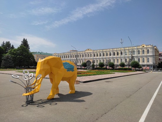 Слон в Ставрополе