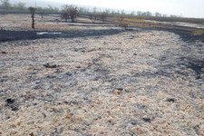 Огонь нанес вред плодородным почвам на Ставрополье