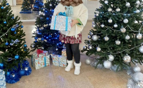 На Ставрополье не закупают новогодние украшения и ёлки в этом году