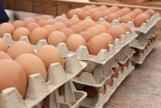 Производство яиц на Ставрополье. Минсельхоз СК