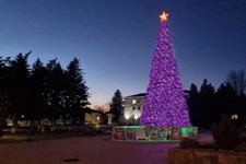 Новогодняя елка в станице Ессентукской. Фото администрации Предгорного округа