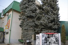 Музей «Память» в Ставрополе. Фото в Телеграм-канале мэра Ивана Ульянченко