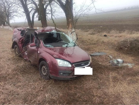 В Петровском округе автолюбительница врезалась в дерево. Фото ГИБДД СК