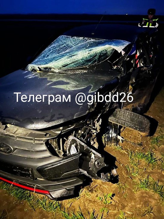 Из-за уснувшего за рулем водителя произошло ДТП на Ставрополье. Фото ГИБДД СК