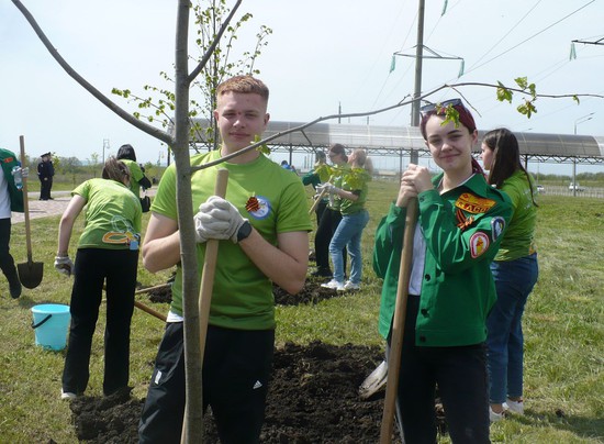 Молодые жители Ставрополя из волонтерского отряда «Мечта» высадили по несколько деревьев