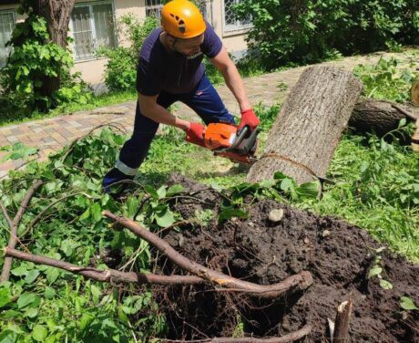 Распилка упавших деревьев. Пресс-служба администрации г. Ставрополя